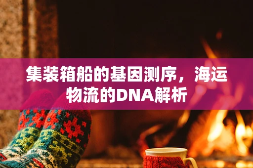 集装箱船的基因测序，海运物流的DNA解析