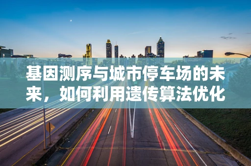 基因测序与城市停车场的未来，如何利用遗传算法优化停车管理？