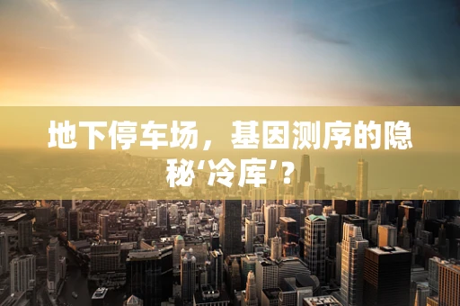 地下停车场，基因测序的隐秘‘冷库’？