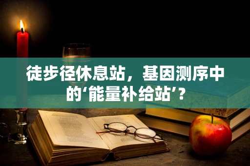徒步径休息站，基因测序中的‘能量补给站’？