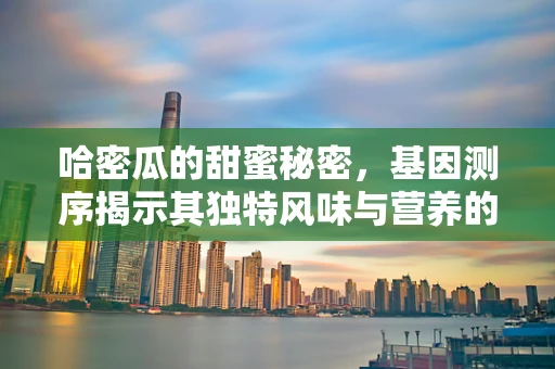 哈密瓜的甜蜜秘密，基因测序揭示其独特风味与营养的奥秘