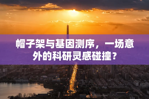 帽子架与基因测序，一场意外的科研灵感碰撞？