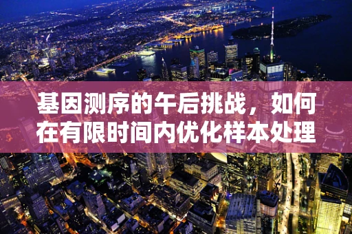 基因测序的午后挑战，如何在有限时间内优化样本处理与数据分析？