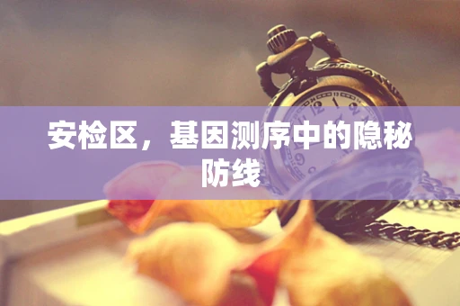 安检区，基因测序中的隐秘防线