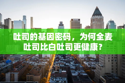 吐司的基因密码，为何全麦吐司比白吐司更健康？