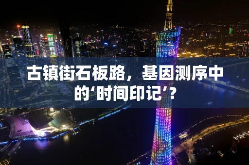 古镇街石板路，基因测序中的‘时间印记’？