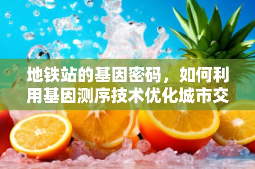 地铁站的基因密码，如何利用基因测序技术优化城市交通规划？