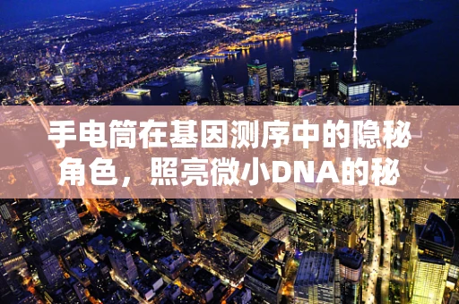 手电筒在基因测序中的隐秘角色，照亮微小DNA的秘密