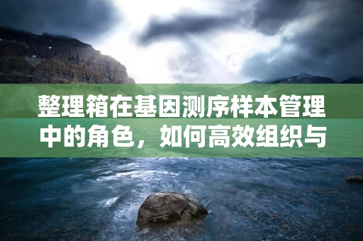 整理箱在基因测序样本管理中的角色，如何高效组织与追踪？