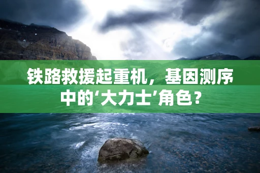 铁路救援起重机，基因测序中的‘大力士’角色？