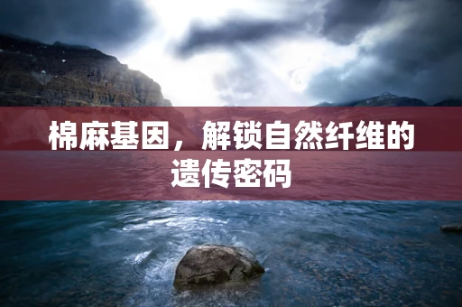 棉麻基因，解锁自然纤维的遗传密码