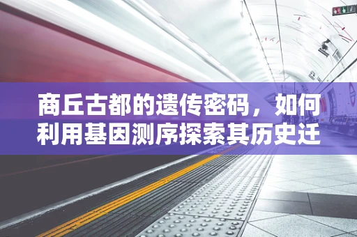 商丘古都的遗传密码，如何利用基因测序探索其历史迁徙路径？