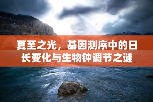 夏至之光，基因测序中的日长变化与生物钟调节之谜