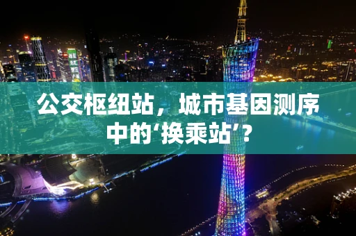 公交枢纽站，城市基因测序中的‘换乘站’？