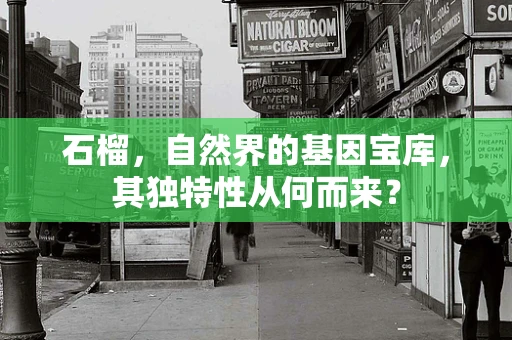 石榴，自然界的基因宝库，其独特性从何而来？