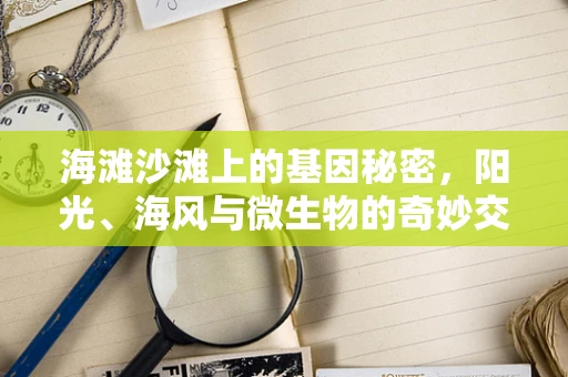 海滩沙滩上的基因秘密，阳光、海风与微生物的奇妙交响