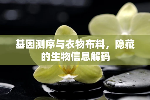 基因测序与衣物布料，隐藏的生物信息解码