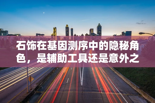 石饰在基因测序中的隐秘角色，是辅助工具还是意外之喜？