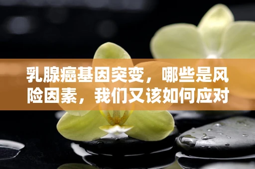 乳腺癌基因突变，哪些是风险因素，我们又该如何应对？