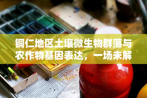 铜仁地区土壤微生物群落与农作物基因表达，一场未解的基因密码探索