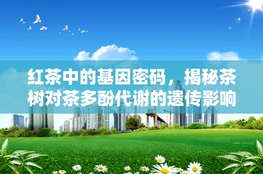 红茶中的基因密码，揭秘茶树对茶多酚代谢的遗传影响