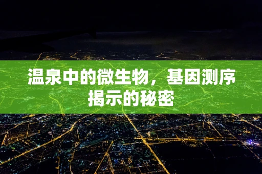 温泉中的微生物，基因测序揭示的秘密