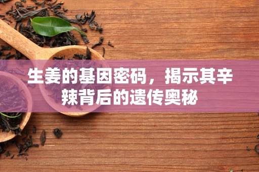 生姜的基因密码，揭示其辛辣背后的遗传奥秘