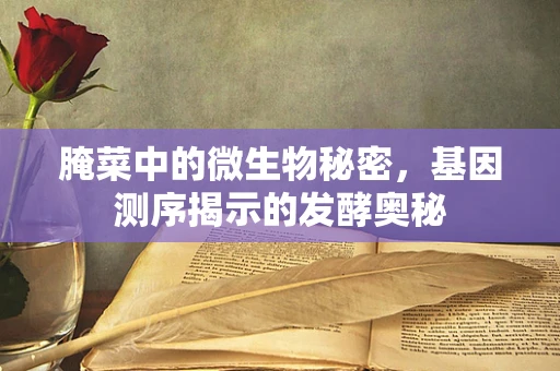 腌菜中的微生物秘密，基因测序揭示的发酵奥秘