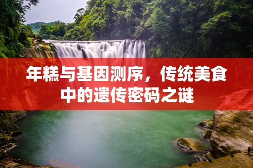 年糕与基因测序，传统美食中的遗传密码之谜