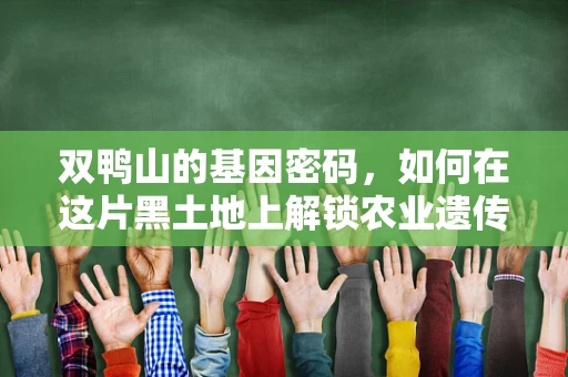 双鸭山的基因密码，如何在这片黑土地上解锁农业遗传的秘密？