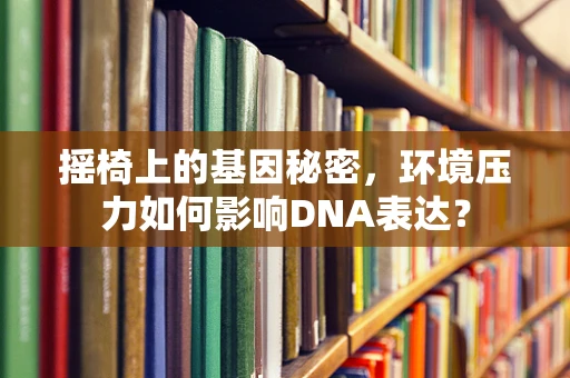 摇椅上的基因秘密，环境压力如何影响DNA表达？