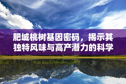 肥城桃树基因密码，揭示其独特风味与高产潜力的科学之问