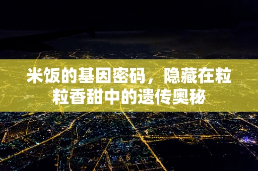 米饭的基因密码，隐藏在粒粒香甜中的遗传奥秘