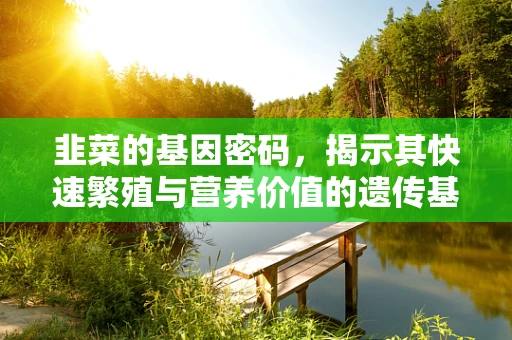 韭菜的基因密码，揭示其快速繁殖与营养价值的遗传基础