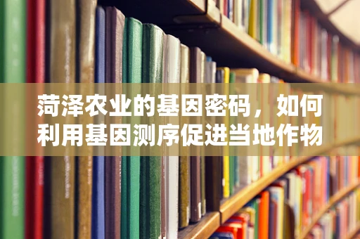 菏泽农业的基因密码，如何利用基因测序促进当地作物改良？