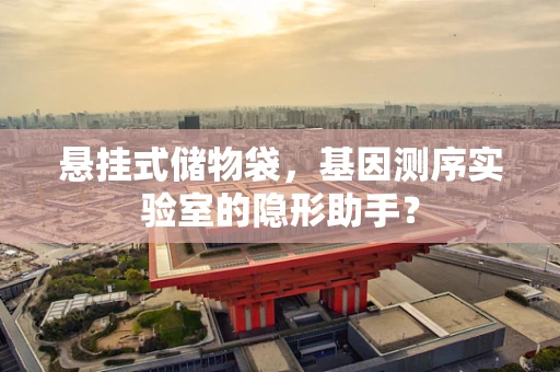 悬挂式储物袋，基因测序实验室的隐形助手？