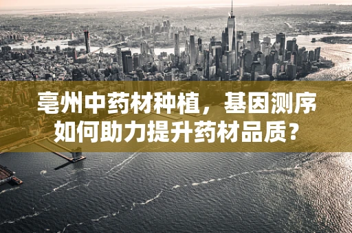 亳州中药材种植，基因测序如何助力提升药材品质？
