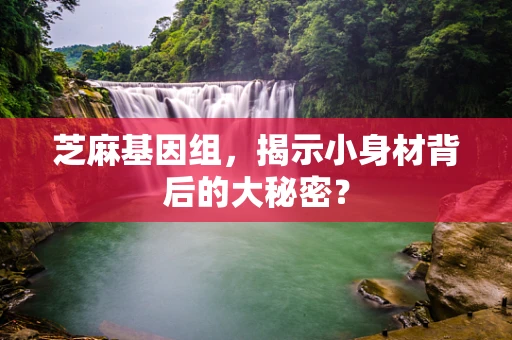 芝麻基因组，揭示小身材背后的大秘密？