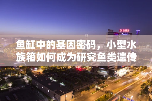 鱼缸中的基因密码，小型水族箱如何成为研究鱼类遗传的微宇宙？