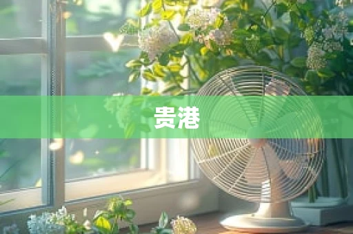 贵港
