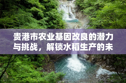 贵港市农业基因改良的潜力与挑战，解锁水稻生产的未来？