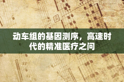 动车组的基因测序，高速时代的精准医疗之问