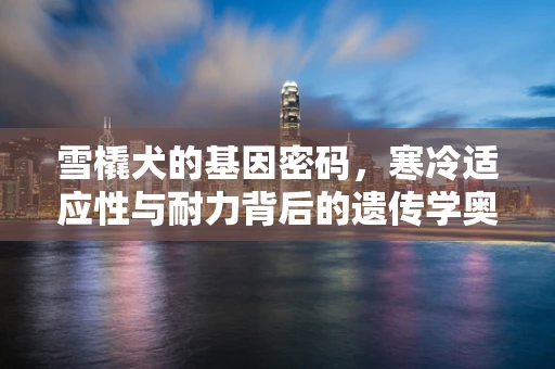 雪橇犬的基因密码，寒冷适应性与耐力背后的遗传学奥秘