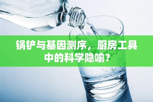 锅铲与基因测序，厨房工具中的科学隐喻？