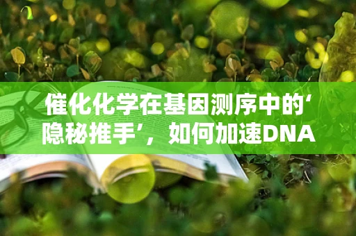 催化化学在基因测序中的‘隐秘推手’，如何加速DNA解旋？