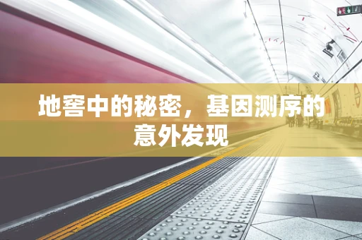 地窖中的秘密，基因测序的意外发现