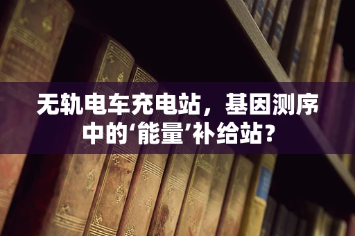 无轨电车充电站，基因测序中的‘能量’补给站？
