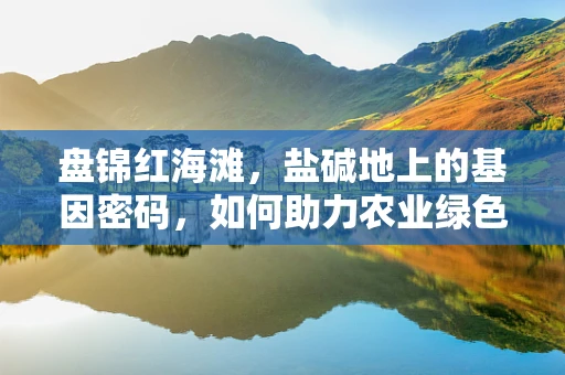 盘锦红海滩，盐碱地上的基因密码，如何助力农业绿色转型？