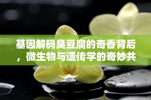 基因解码臭豆腐的奇香背后，微生物与遗传学的奇妙共舞？