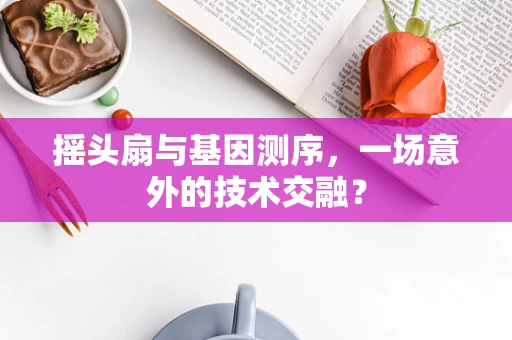 摇头扇与基因测序，一场意外的技术交融？